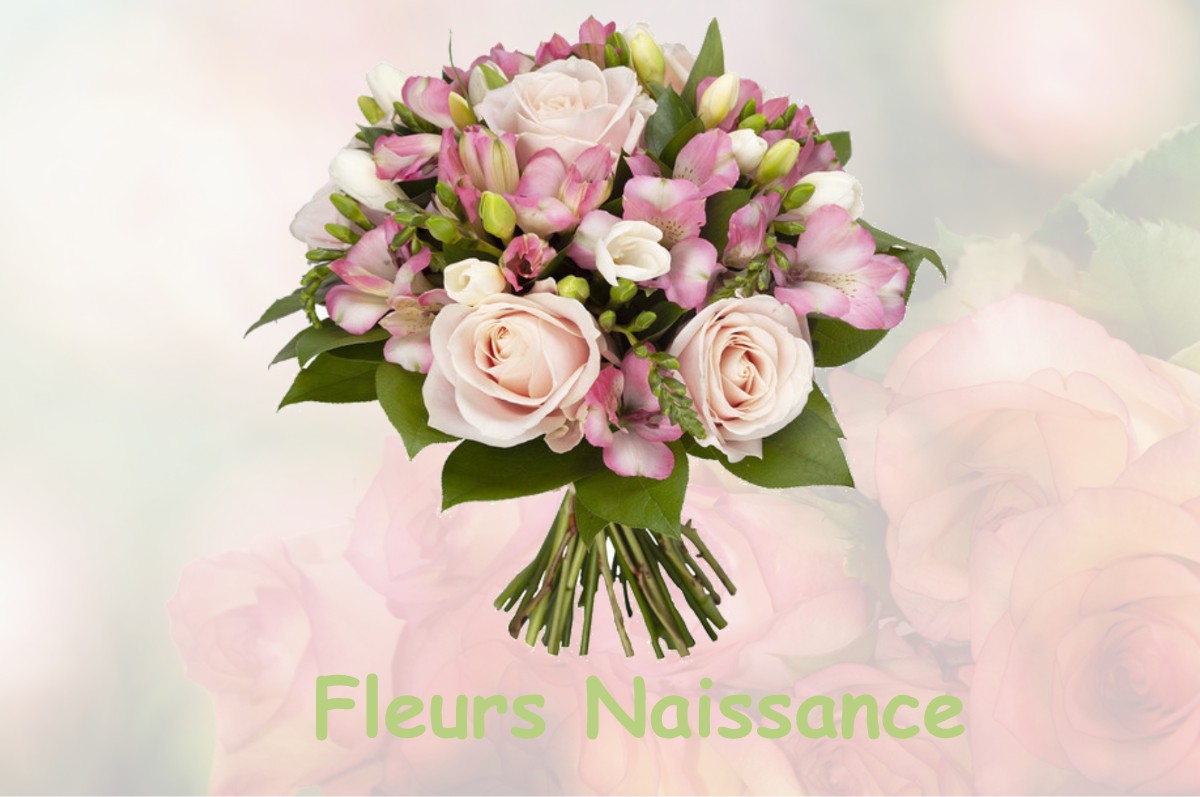 fleurs naissance RONVAUX